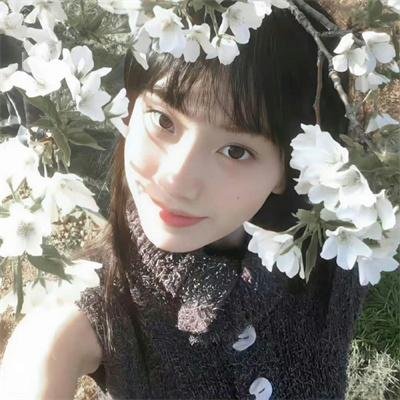 香飘蝶恋